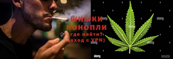 стафф Богданович