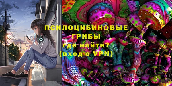 Альфа ПВП Белокуриха
