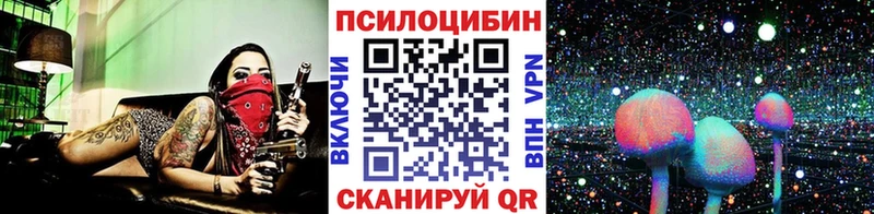 дарнет шоп  mega   Галлюциногенные грибы мицелий  Ясногорск 